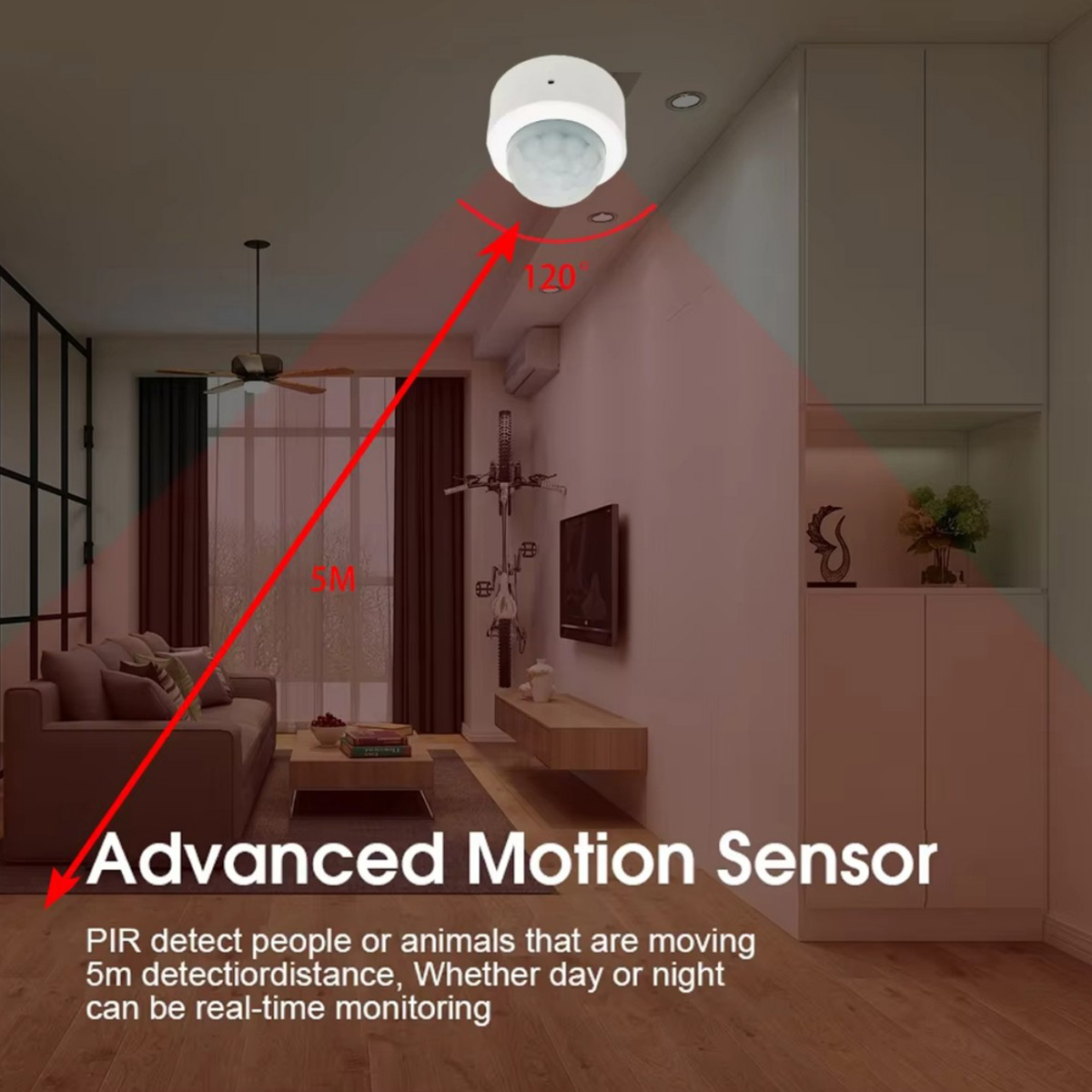 Zigbee PIR Motion Sensor Human - Pir Motion Sensor ulasan dan harga