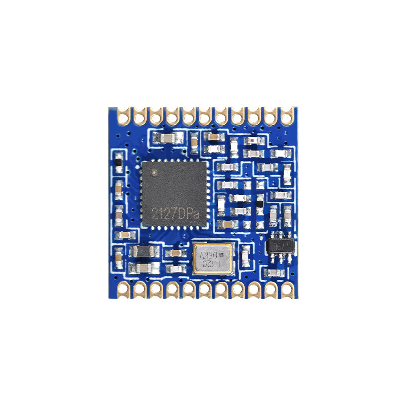 PAN3031 LoRa Wireless Radio Re - Lora Sx1278 ulasan dan harga